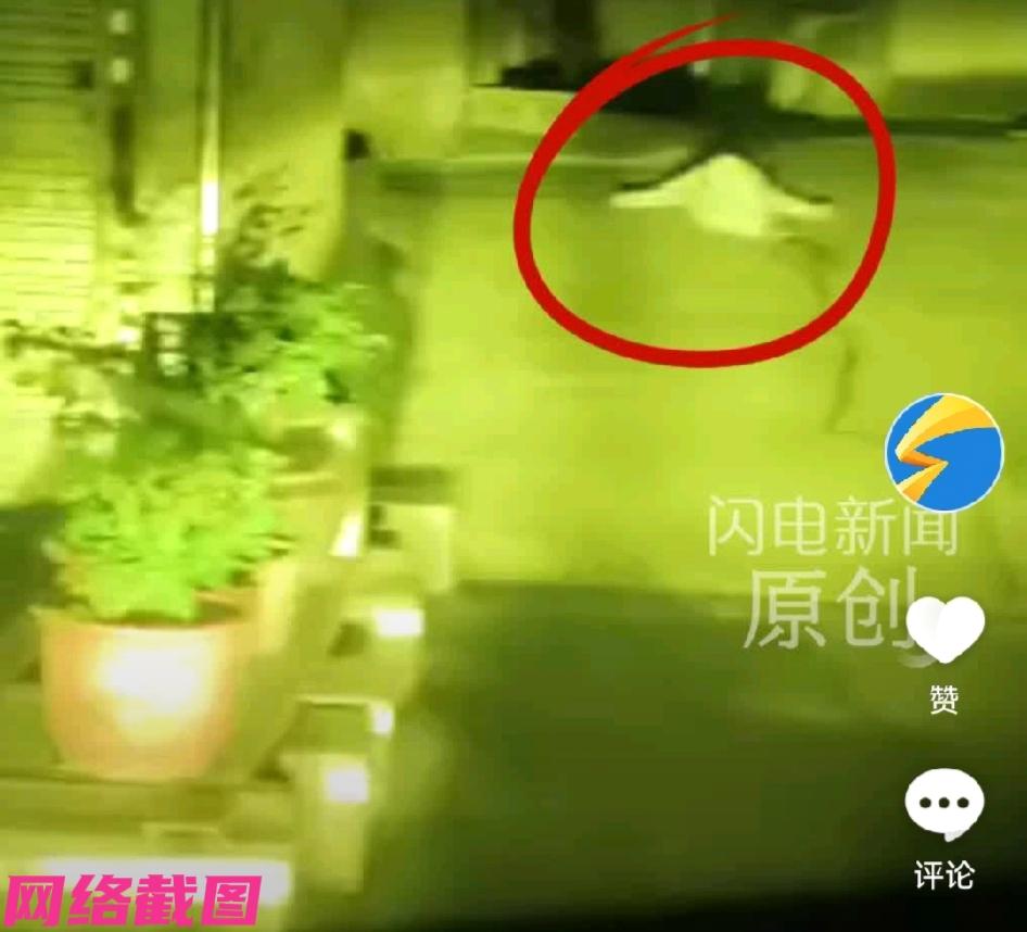 安徽池州有凌晨三时还在跑单的外卖小哥，此刻外卖小哥聚精会神的开电瓶车忙碌送着手里