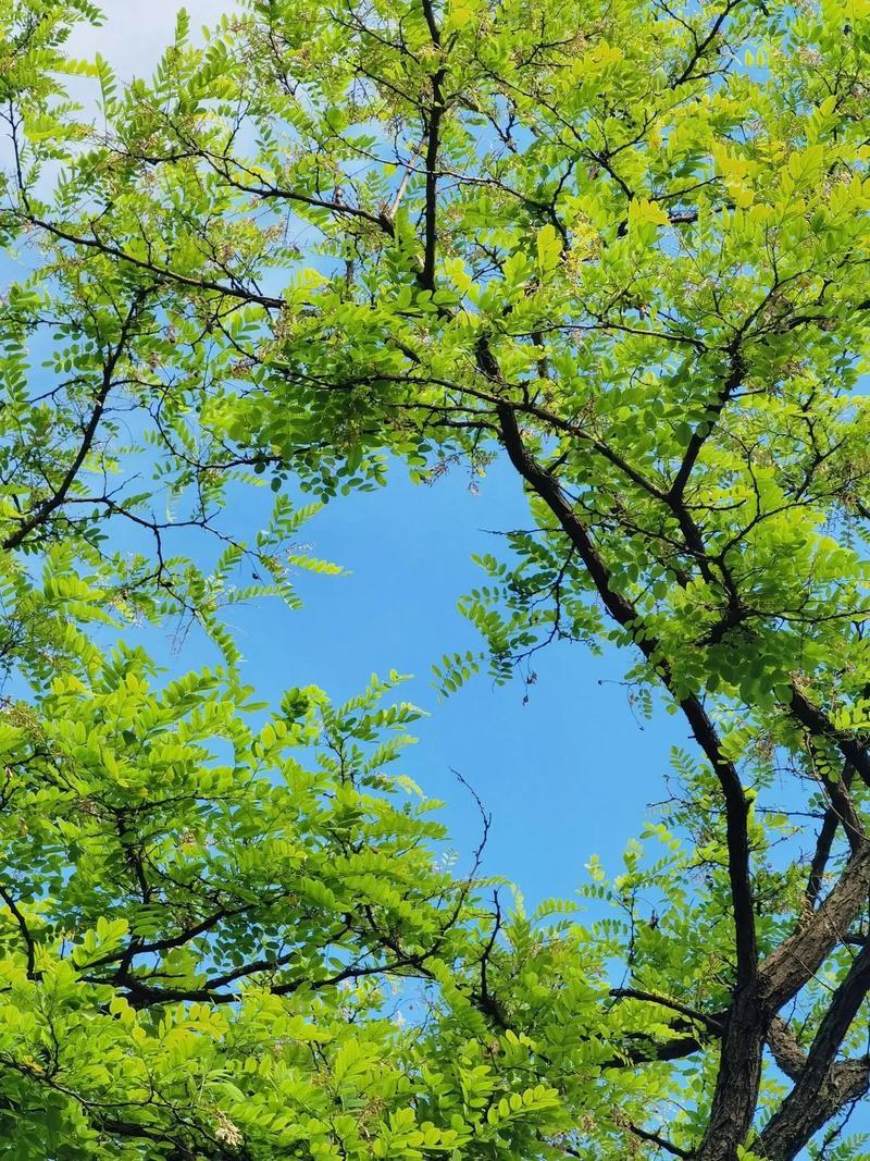 上联：暴雨多，蝉声远，莫道夏日多烦扰；
下联：？？（邀友赐对）