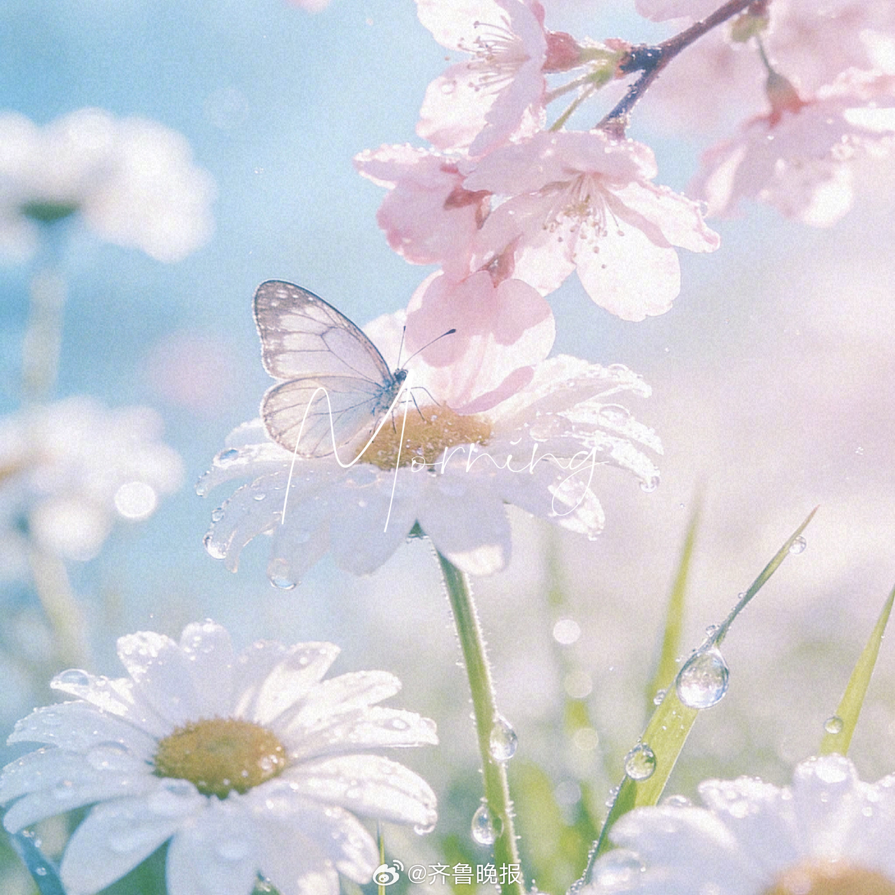 万事尽头终将美好#早安#