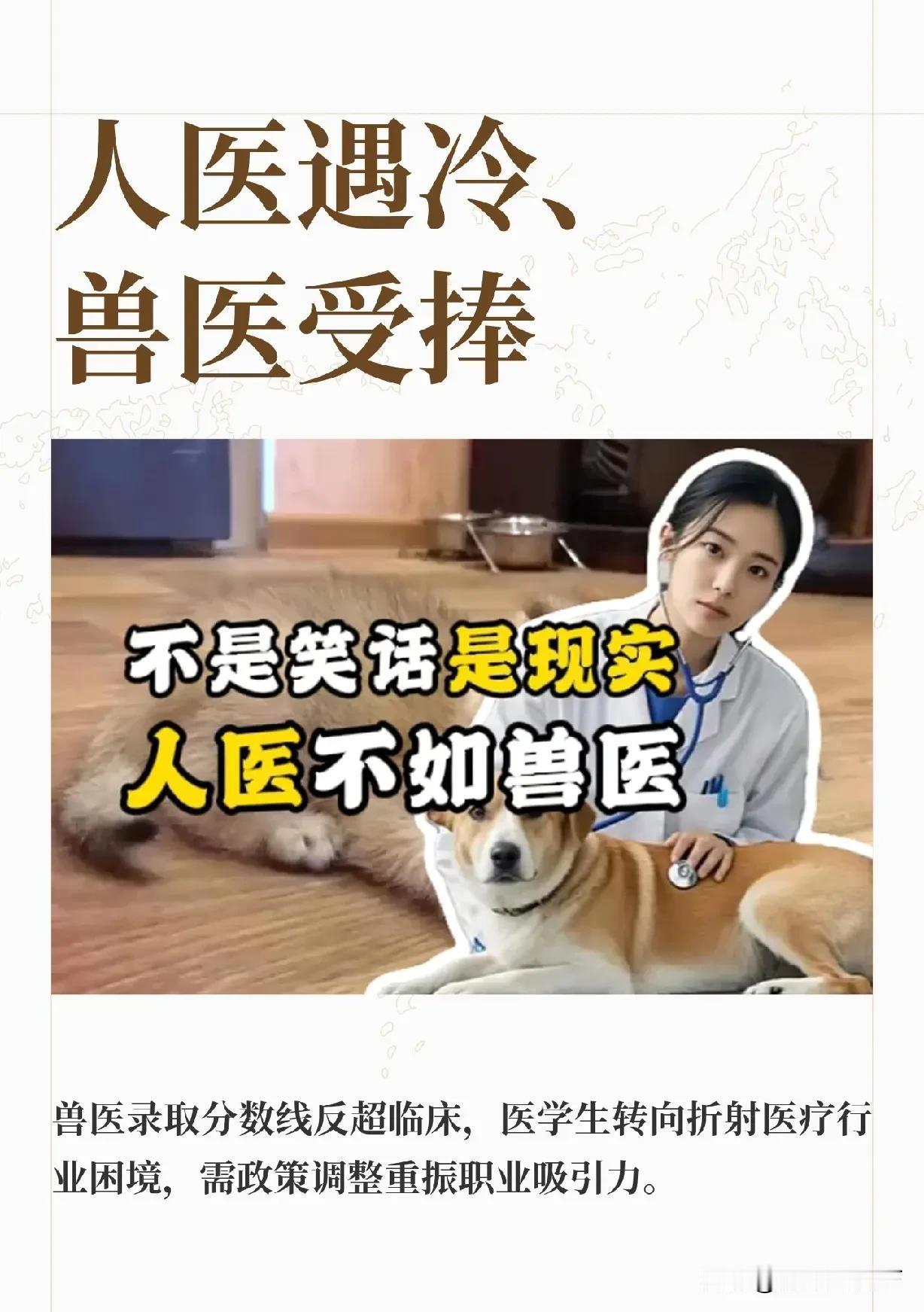 看数字： 猫的鼻泪管冲洗，动物医院收费330元；人的鼻泪管冲洗公立医院收费50-