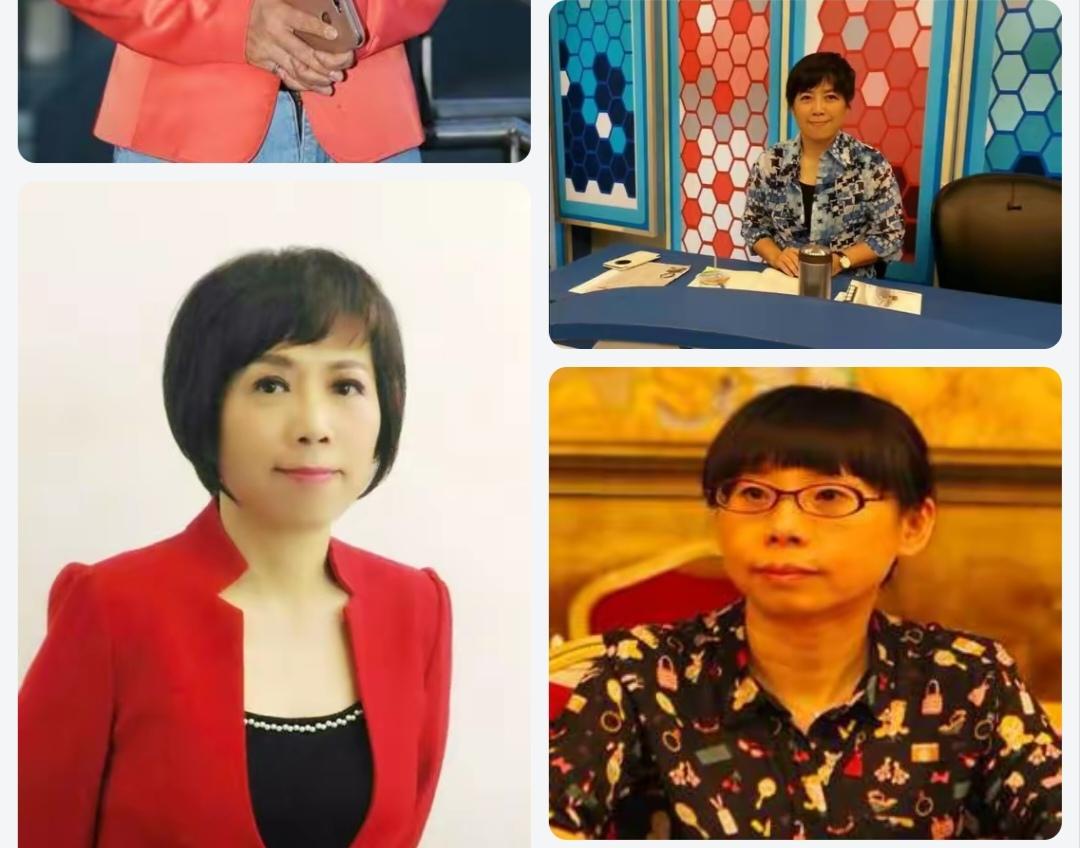 统一的大势与民族意志确实不可阻挡，
但对身处台湾岛内坚持促统的人来说，
【看不到