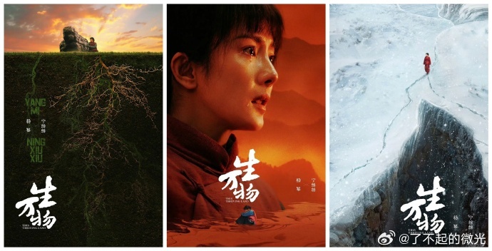 杨幂夺后预测杨幂白玉兰夺后预测杨幂白玉兰夺后预测！ 