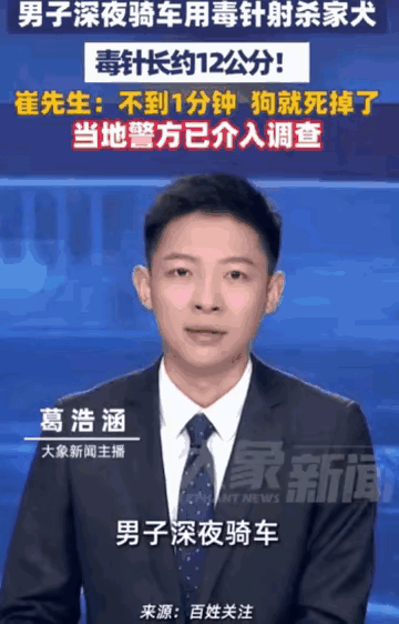 深夜小区当众“暗杀”宠物！浙江这黑衣男子的猖狂，看完让人后背发凉！
5月22日大