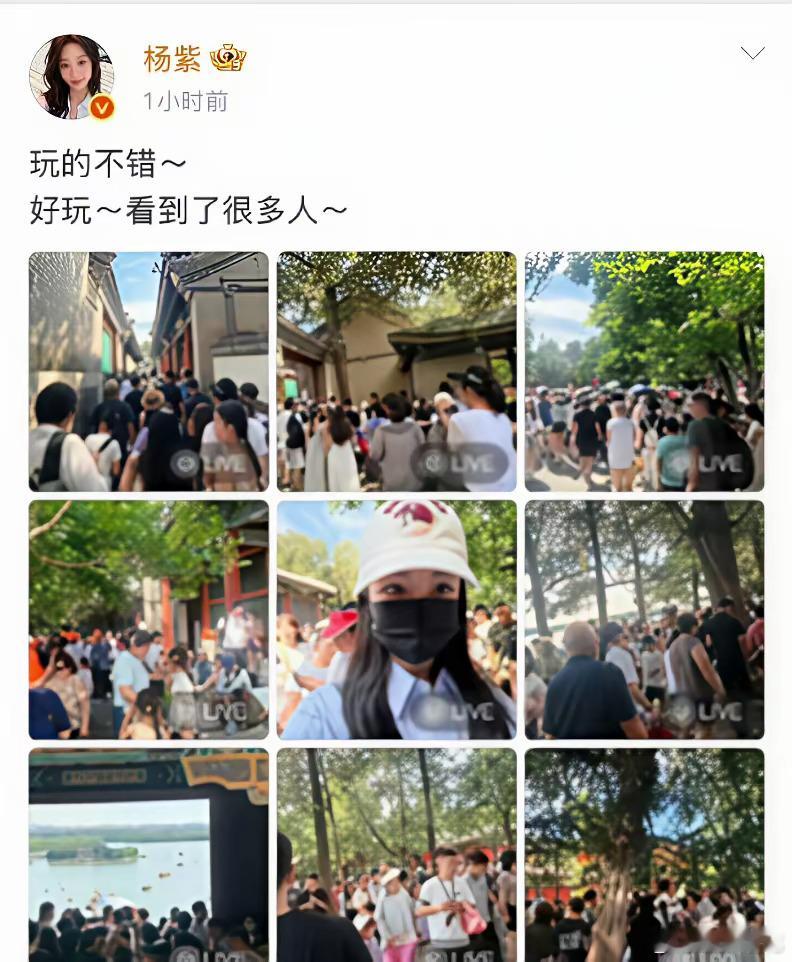 杨紫的冲浪速度都不是5倍速本来发了自己游玩的照片结果大家吵起来了，杨紫不应该把游