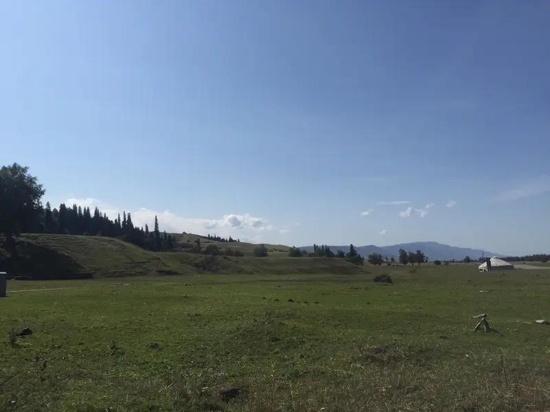 天气越来越暖和，万物复苏，花儿美，树儿帅，正是踏青好时节。

天气越来越暖和，万