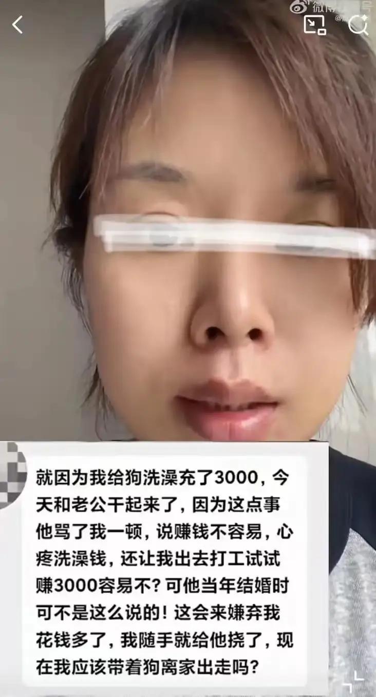 女子给狗充了3000元洗澡卡，丈夫知道后大发雷霆，说女子败家，对狗都比对他好！而