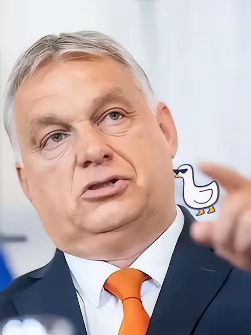 快讯!快讯!
匈牙利总理高调宣布

10月28日，匈牙利总理欧尔班突然放话，俄美