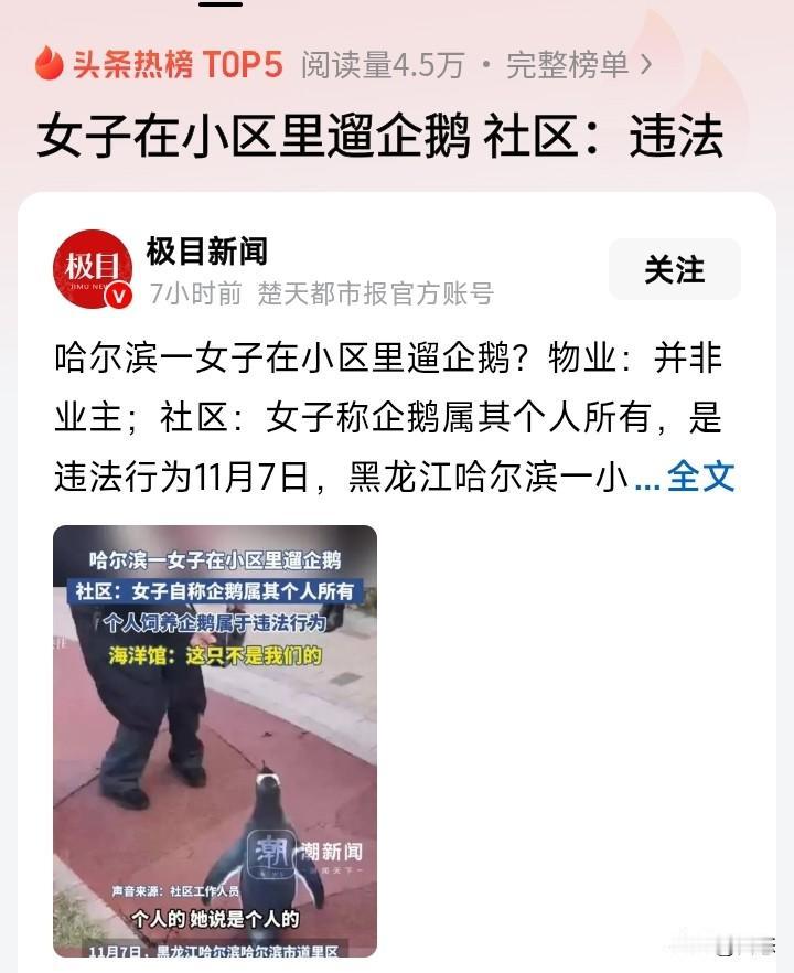 黑龙江哈尔滨一女子在小区里面遛企鹅，女子自称企鹅是自己个人所有。大家知道企鹅一般