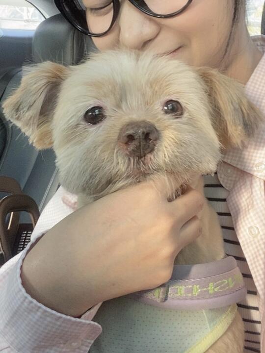 不好好努力就会沦为女人的玩物