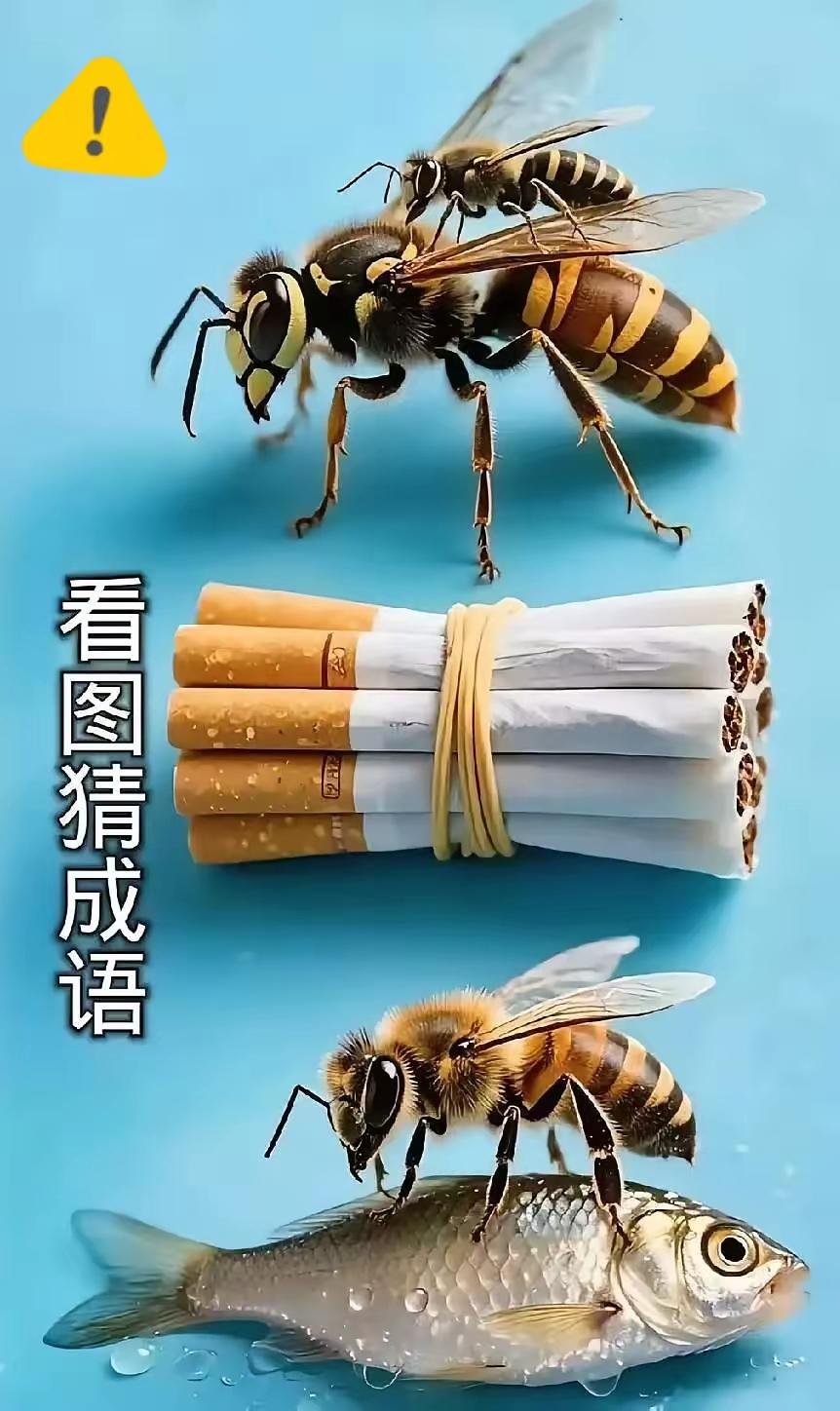 一起分享猜成语图片