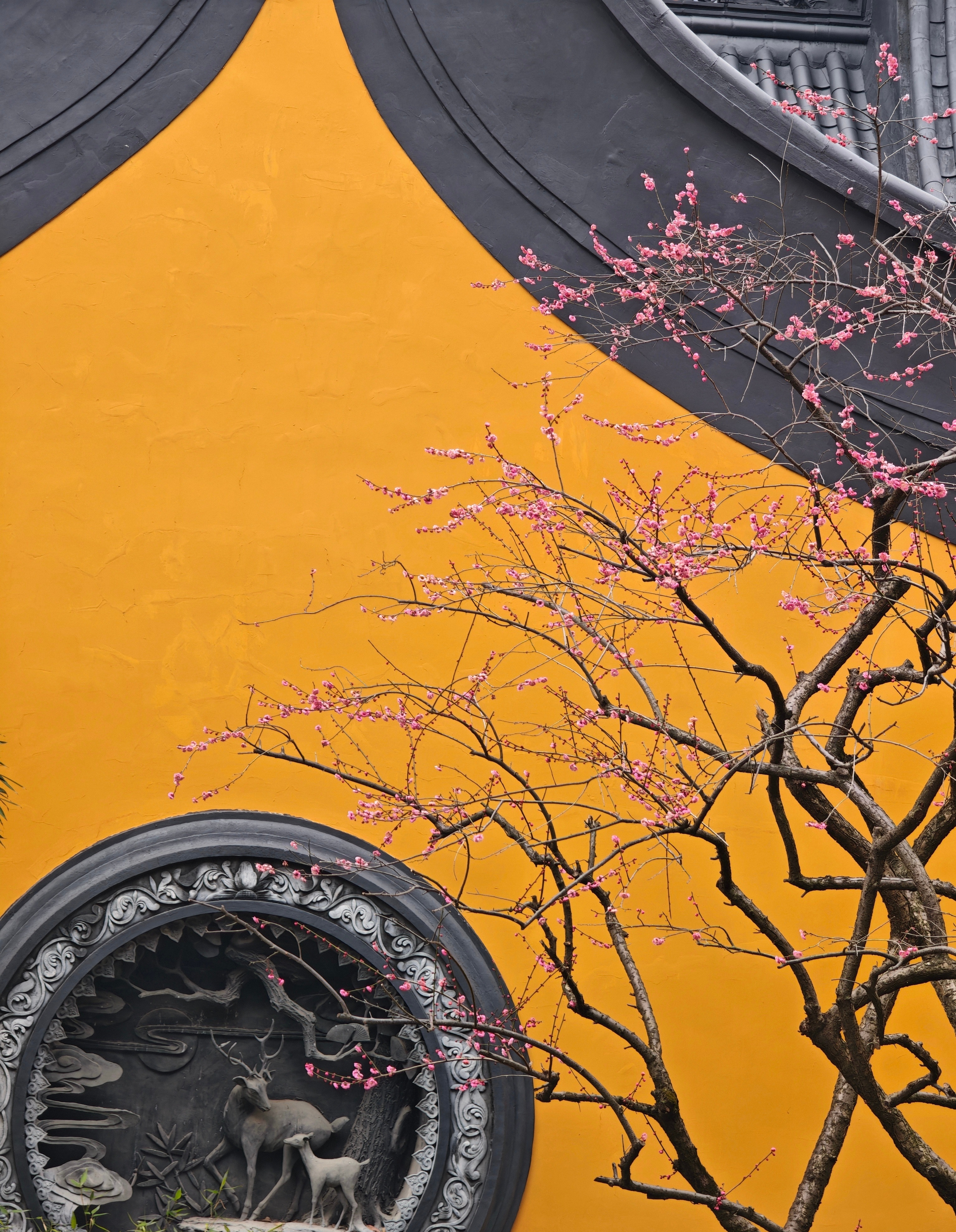 一切皆是上上签～   杭州