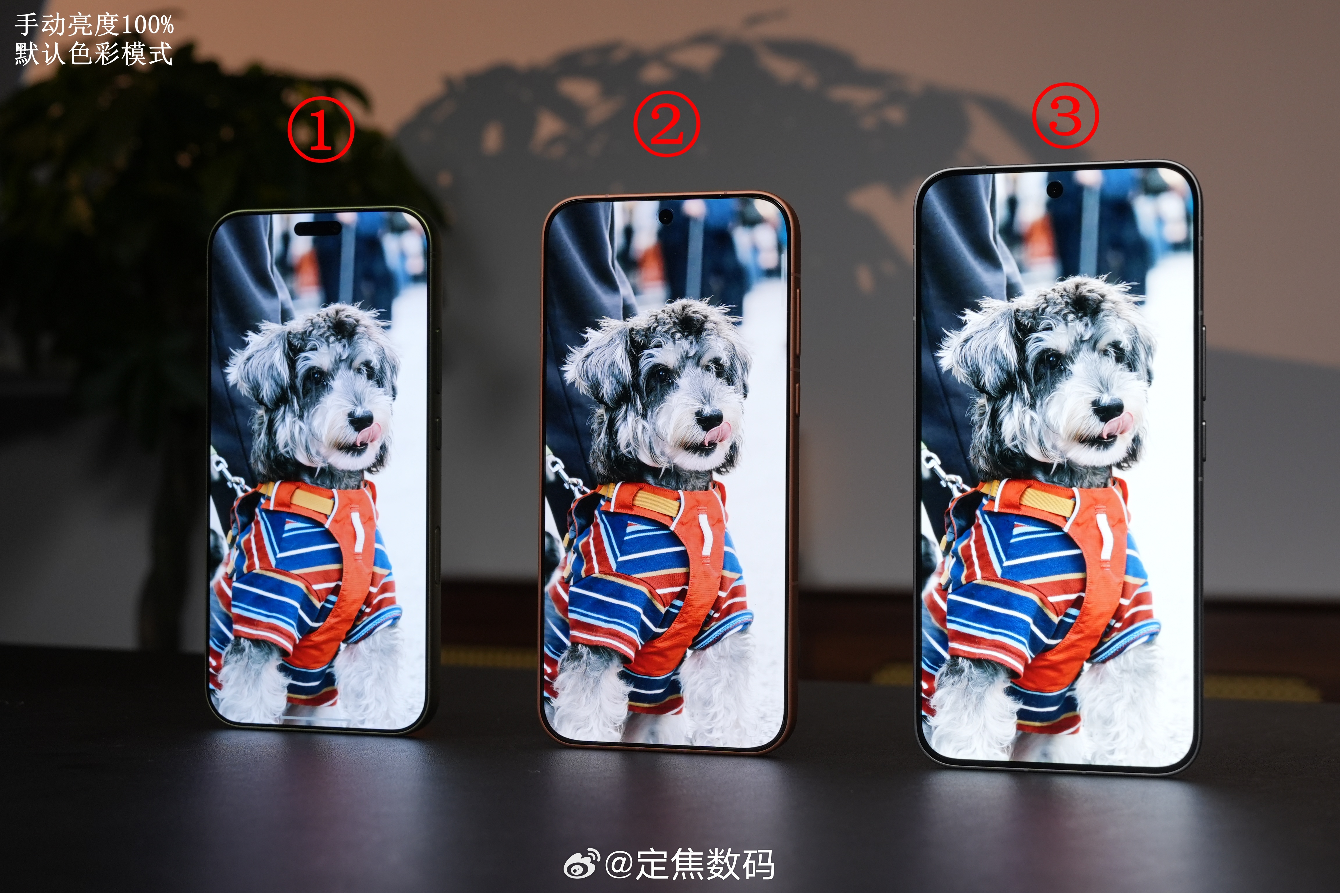 机型①②③，屏幕哪款好看？机型分别是一加16、iQOO 16、荣耀Magic9 