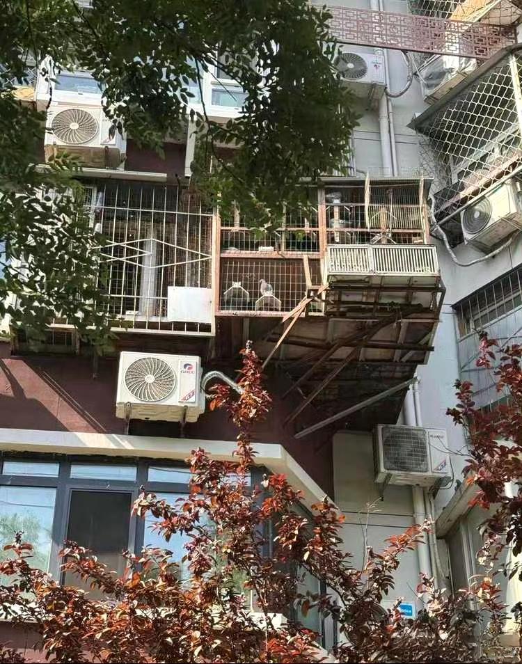 人性的贪，面积多大算够？ ​​​