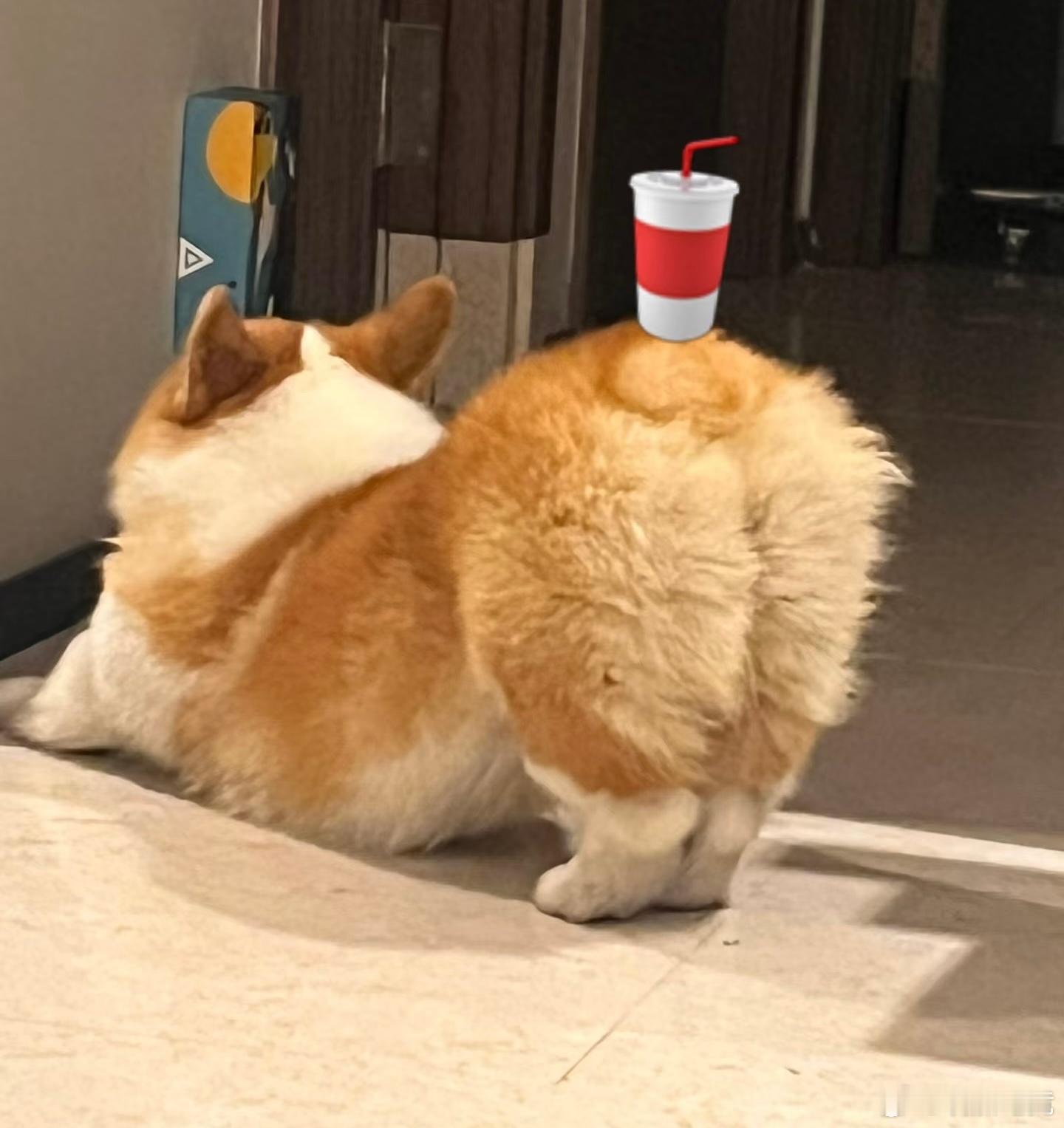 玩加早安 大家早饭吃了什么？2025lpl2025lck