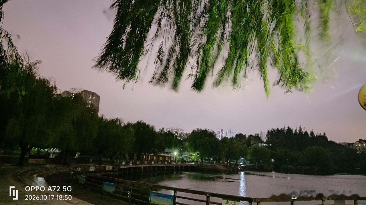 告别白天的喧嚷，来一场饭后随心而旅，这个事情看似简单，今年以来很少成行，由于下班