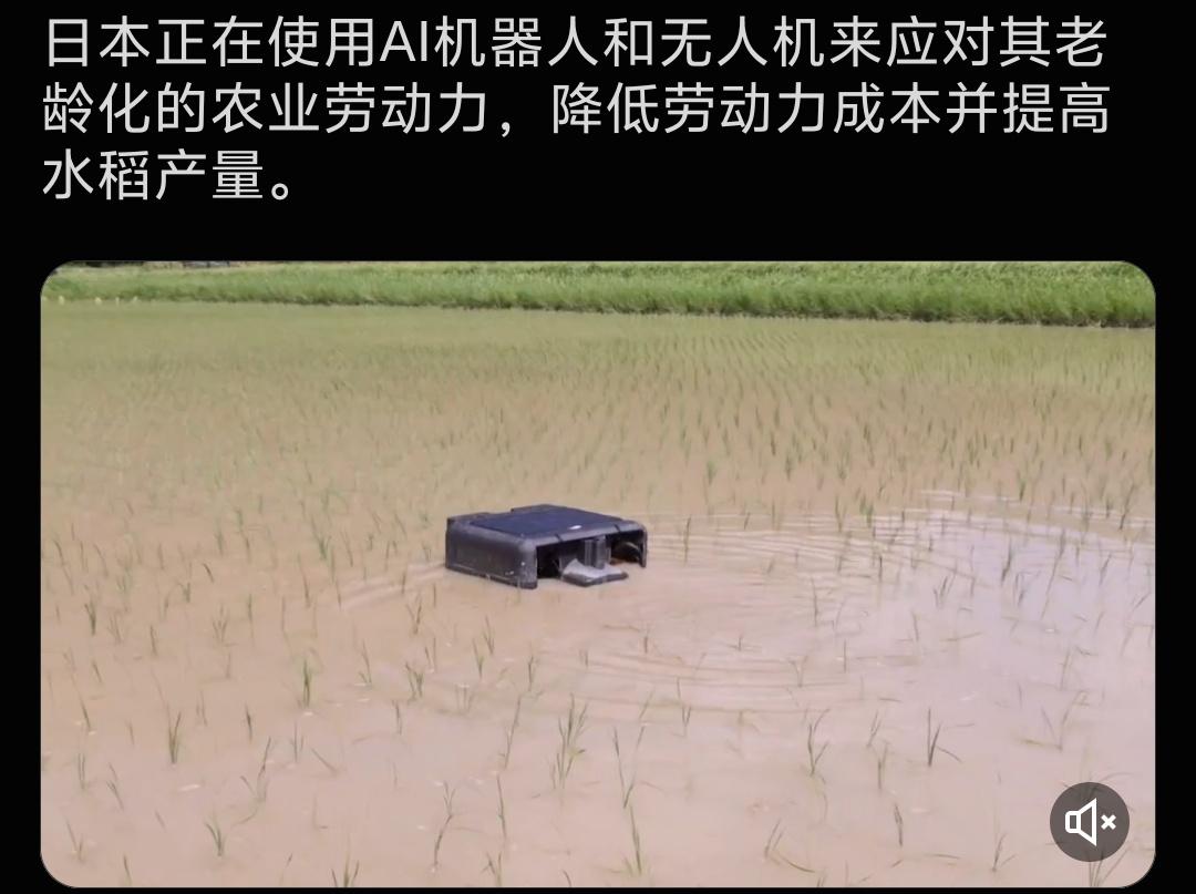 日本用AI机器人种植水稻。

日本正在使用AI机器人和无人机来应对其老龄化的农业