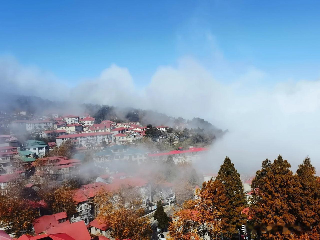 庐山昨晚下了一点小雨，走出酒店时候路面有少许湿润，我对老婆说，你运气真好，老婆说