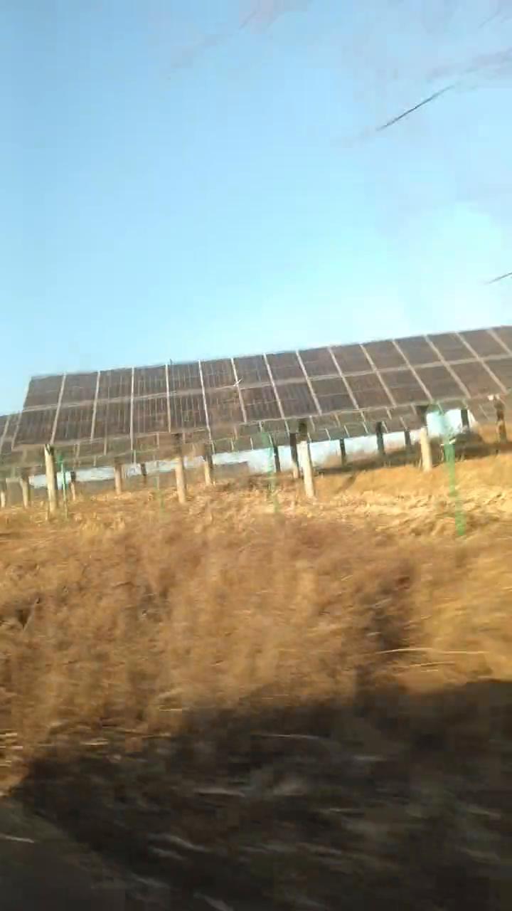 他这还真不知道花店。