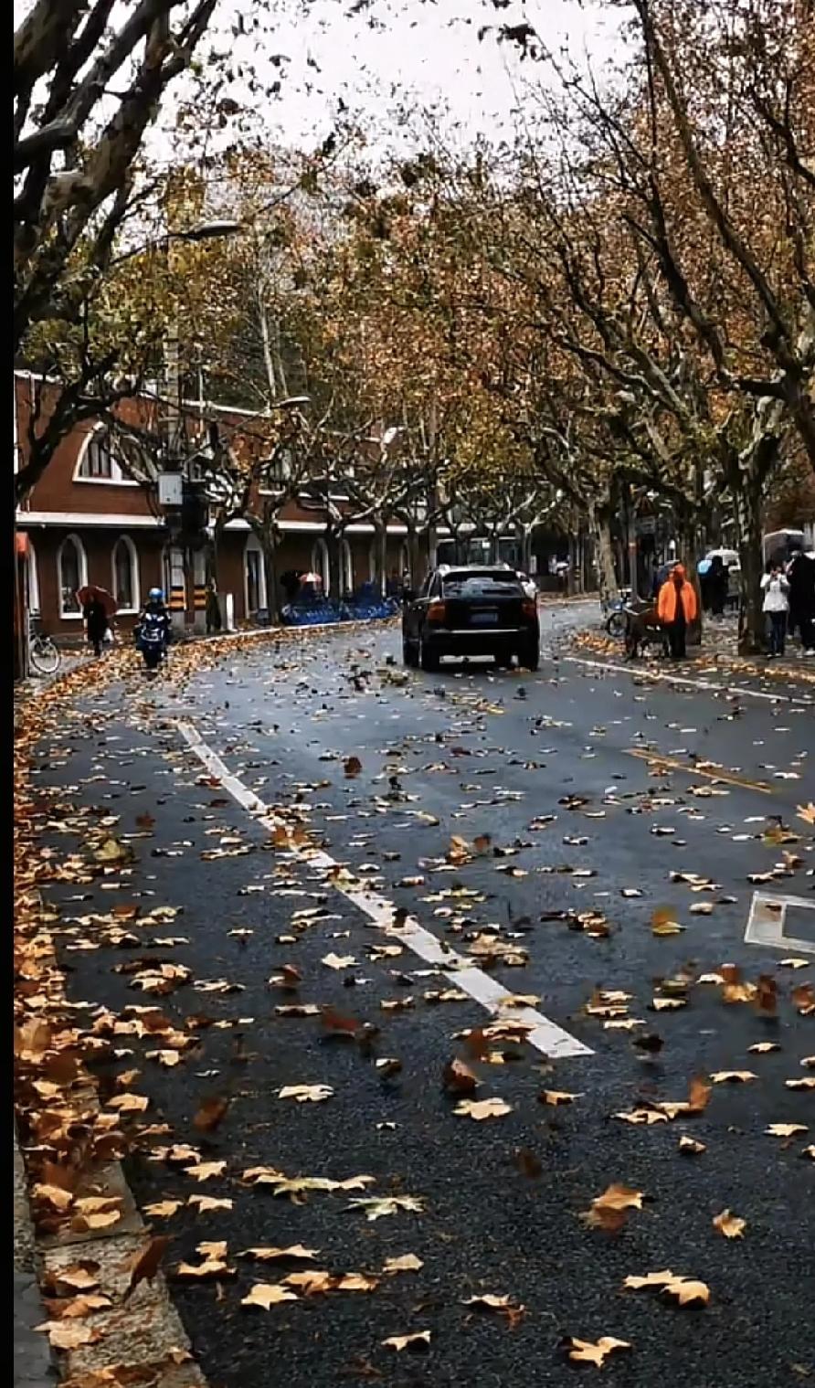 冬日生活打卡季“冬日生活打卡季”这个活动挺有意思的，它不只是晒照片，更是一种积极