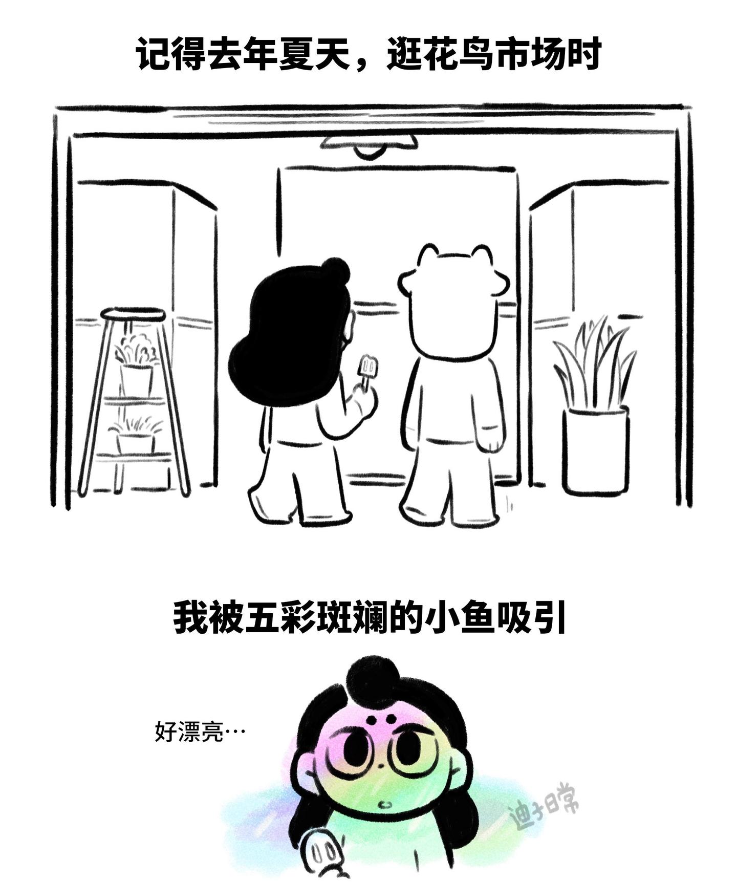 进化吧，不停歇。因为牛牛精益求精，鱼缸好像一直在进化中