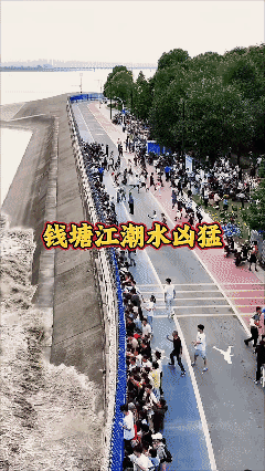 如果你来不了钱塘江，我就把钱塘江大潮的汹涌澎湃拍给你看！[泣不成声]