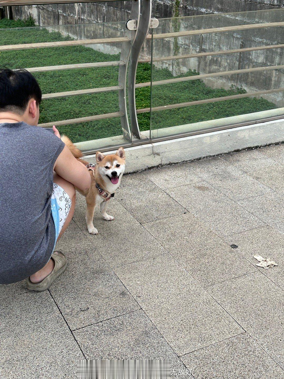 好可爱它在笑哎 ​​​