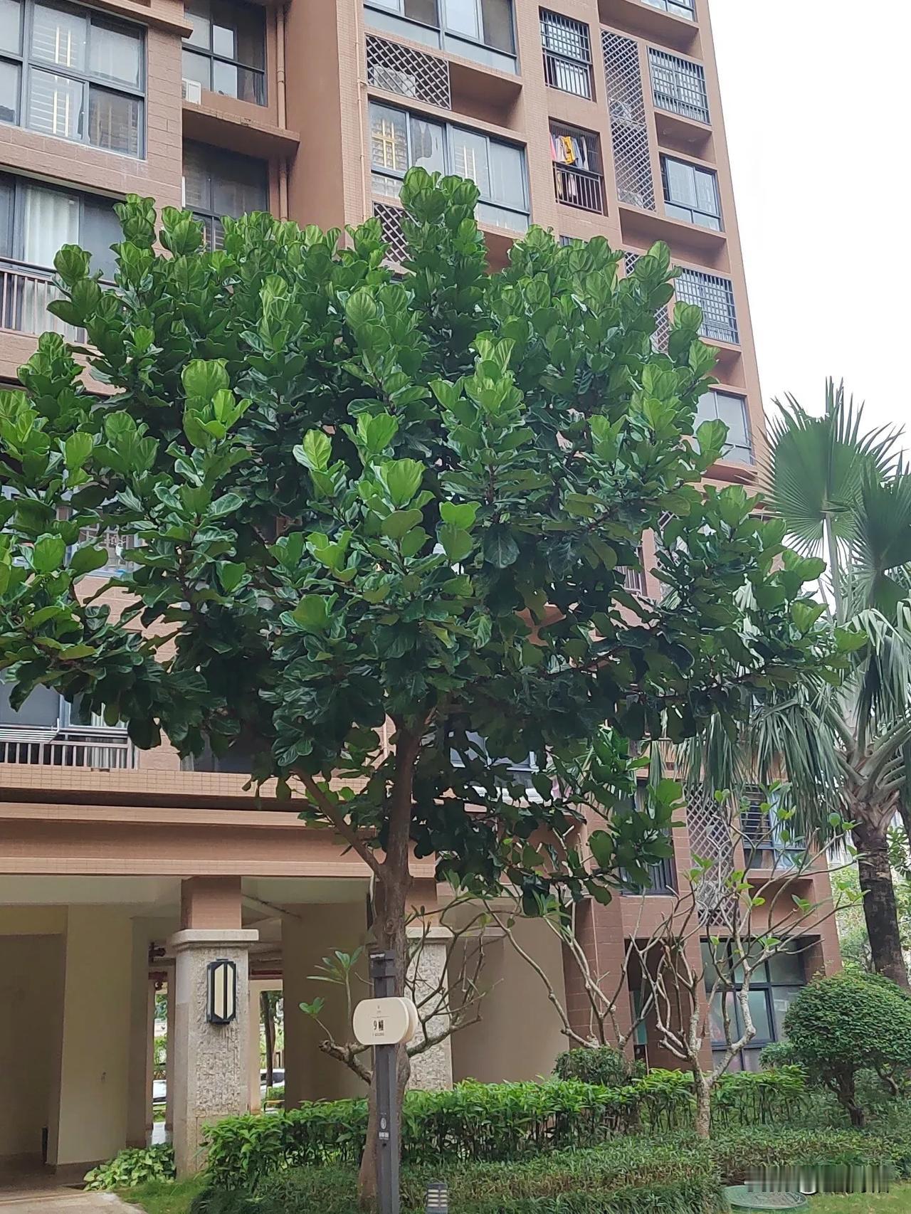 私家整备翻新，抖音上看到的最多的是大陆，离海比较近的是在在广州，海南却没有，如果