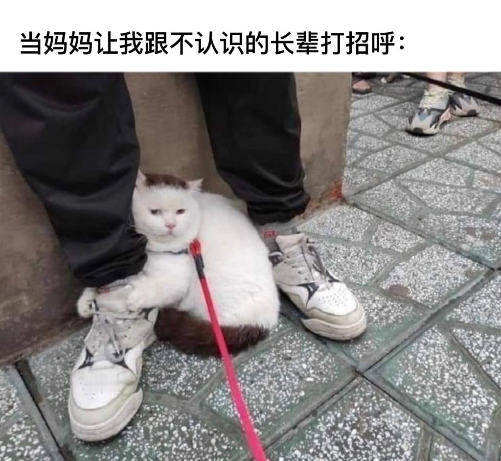 孩子内向#今日memes# //#今日快乐今日发# ​​​