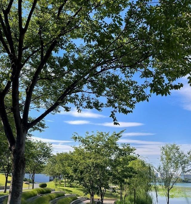 56岁的姐姐姐夫简直是“生理性喜欢”的天花板，看得人酸了。露营天冷姐夫立马脱衣搂