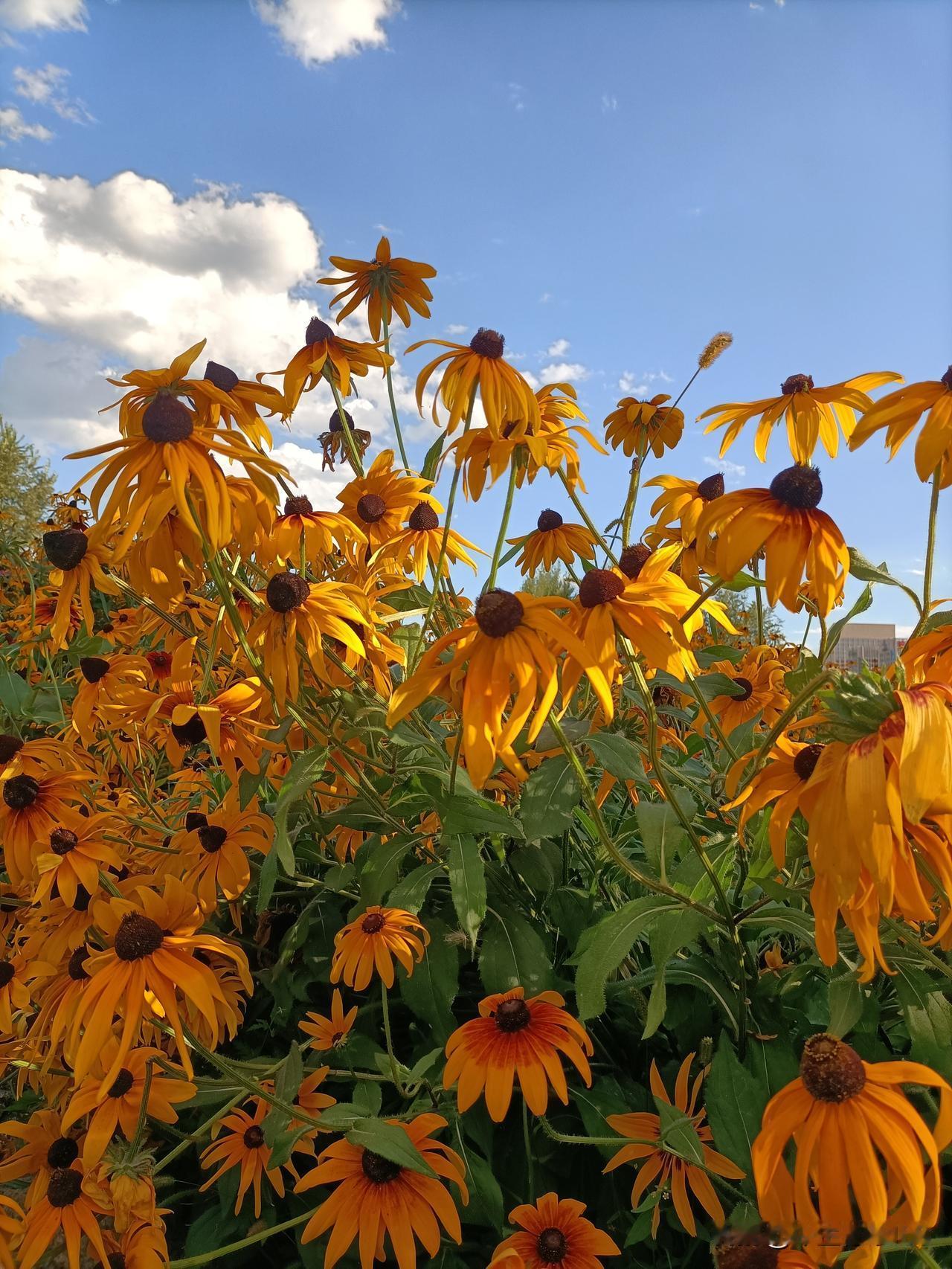 8月倒计时🍂
八月再见，九月你好！
挥手告别夏日余温，迎接崭新的九月。
 
愿