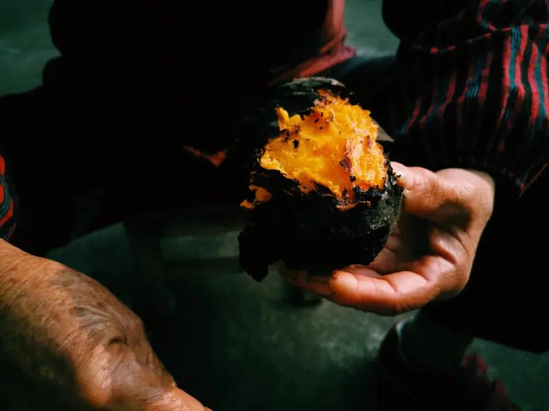 69岁“红薯奶奶”李小稳简直太牛了！她坐在轮椅上守着红薯地创业30余年，如今薯业