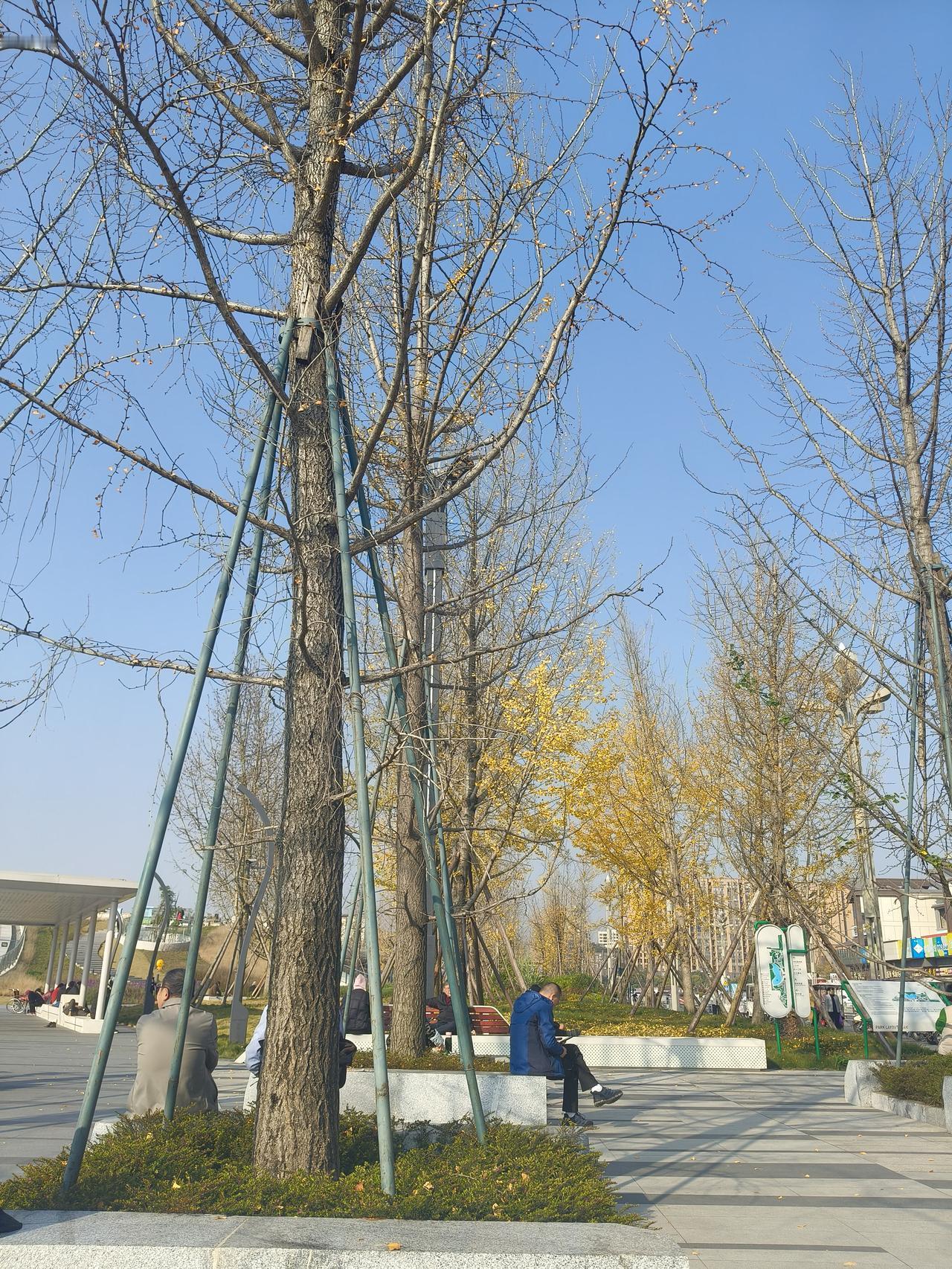 当然有同感。作为头条内容的创作者，捕捉精彩素材不仅需要敏锐的观察力，还要善于发现