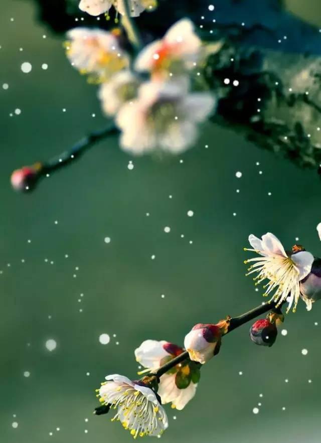 下周，多趋势板块探讨！
2025年收官前，沪指实现十一连阳，其中持续性最强的当属