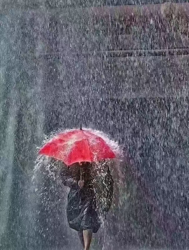 最顶级的能力是“屏蔽力”任何消耗你的人和事多看一眼都是你的不对 ​​​