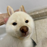 豪轩热读科技