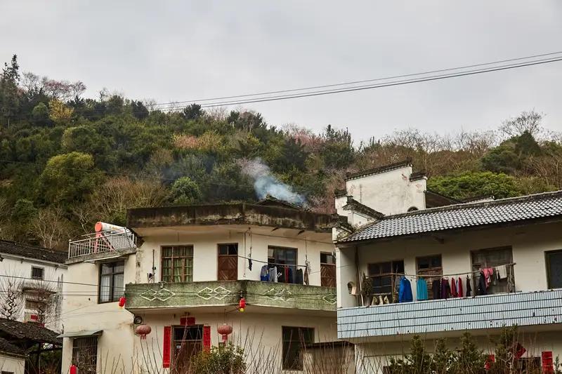 春风一吹，乡村的花全开了，桃花粉、梨花白、油菜花金黄，曾经无人问津的小乡村，摇身