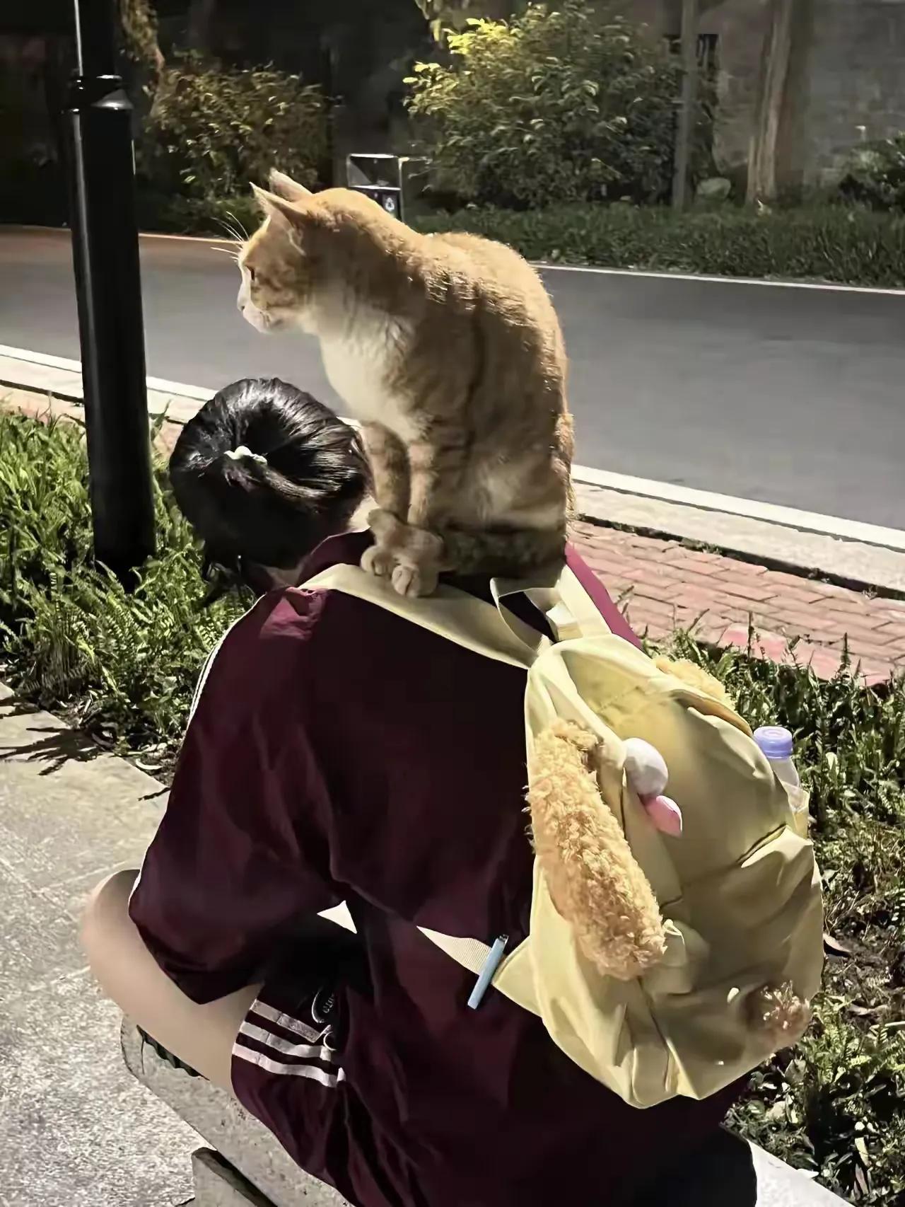 广东清远一位20多岁的女孩子小丽（化名），刚刚大学毕业出来工作不久，由于小丽大学