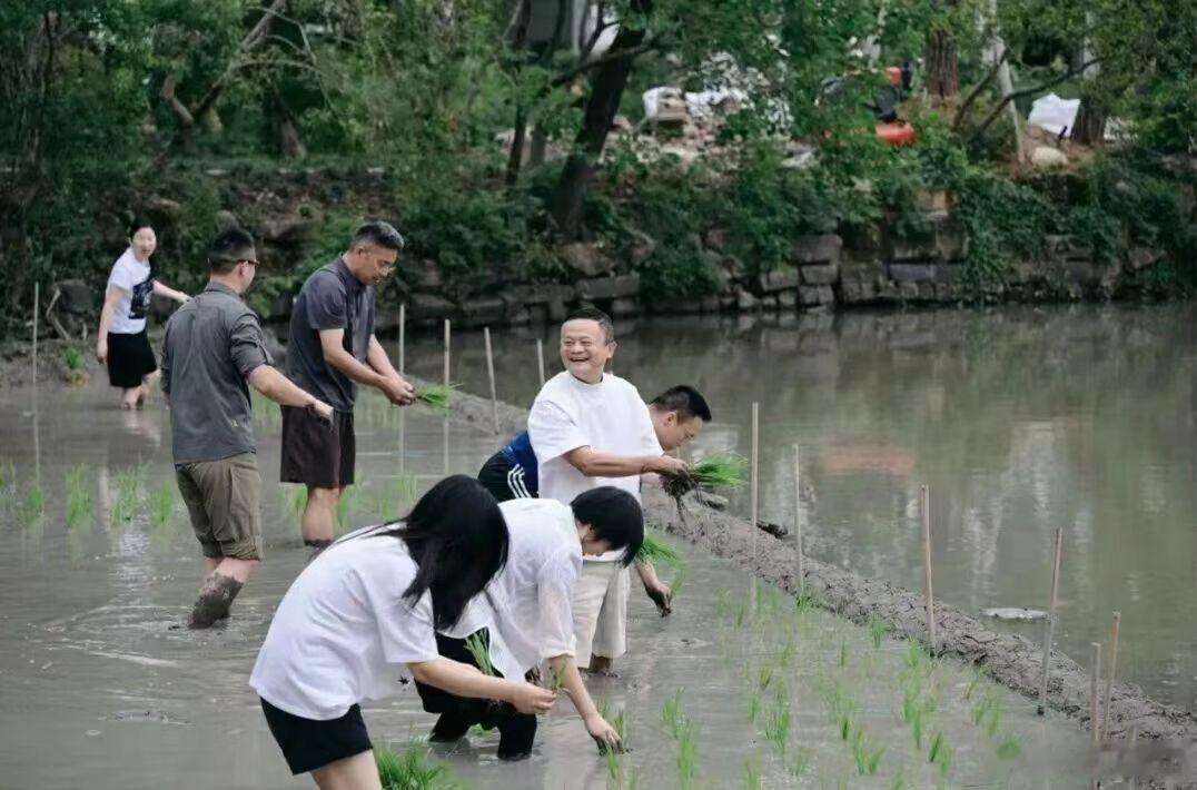 马老板务农是养生，俺们牛马是谋生 