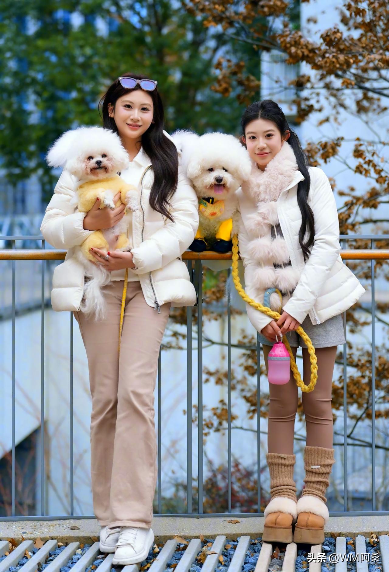 晒图笔记大赛实在是太养眼了。