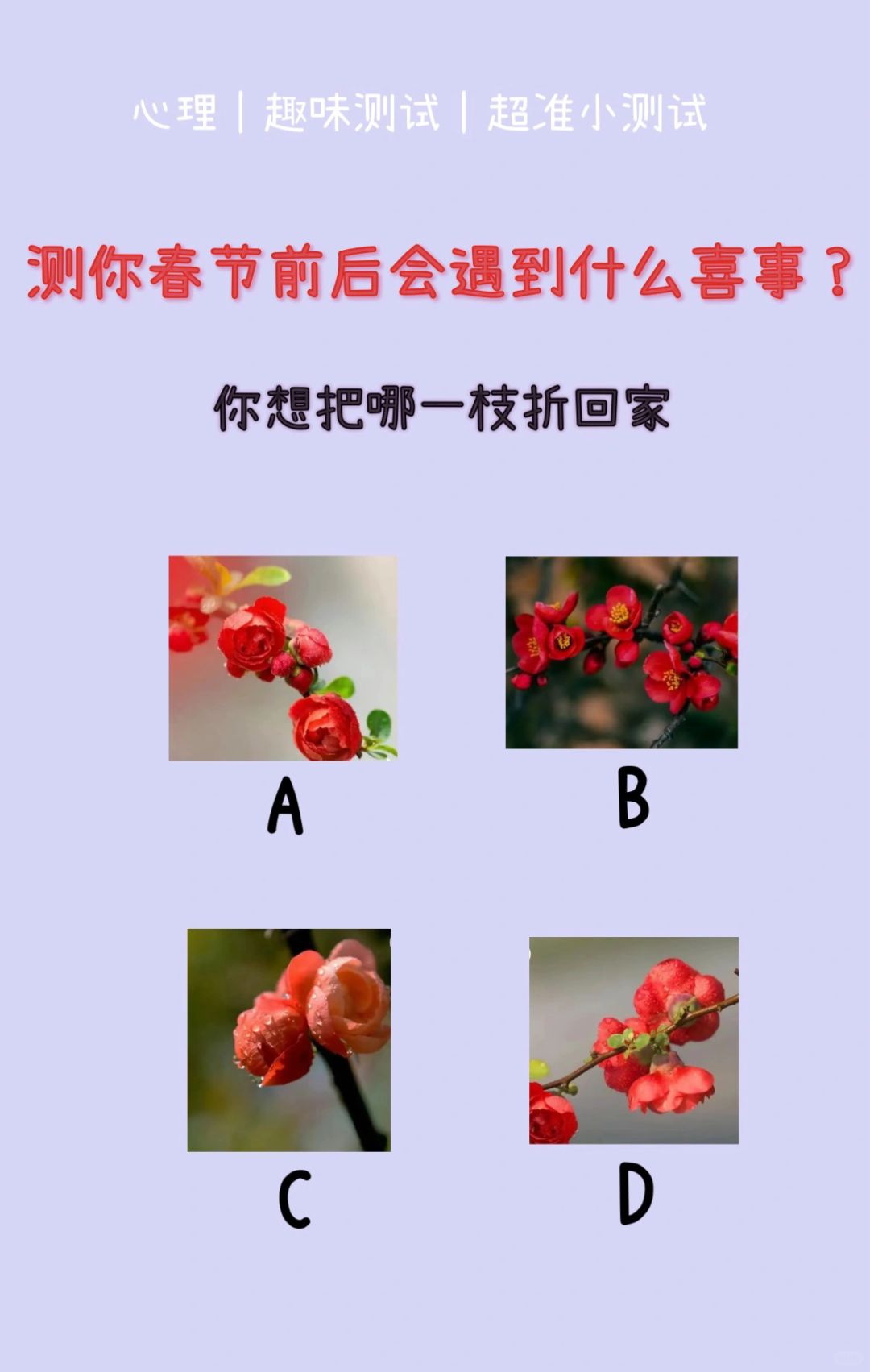 🔥测试｜测你春节前后会遇到什么喜事？