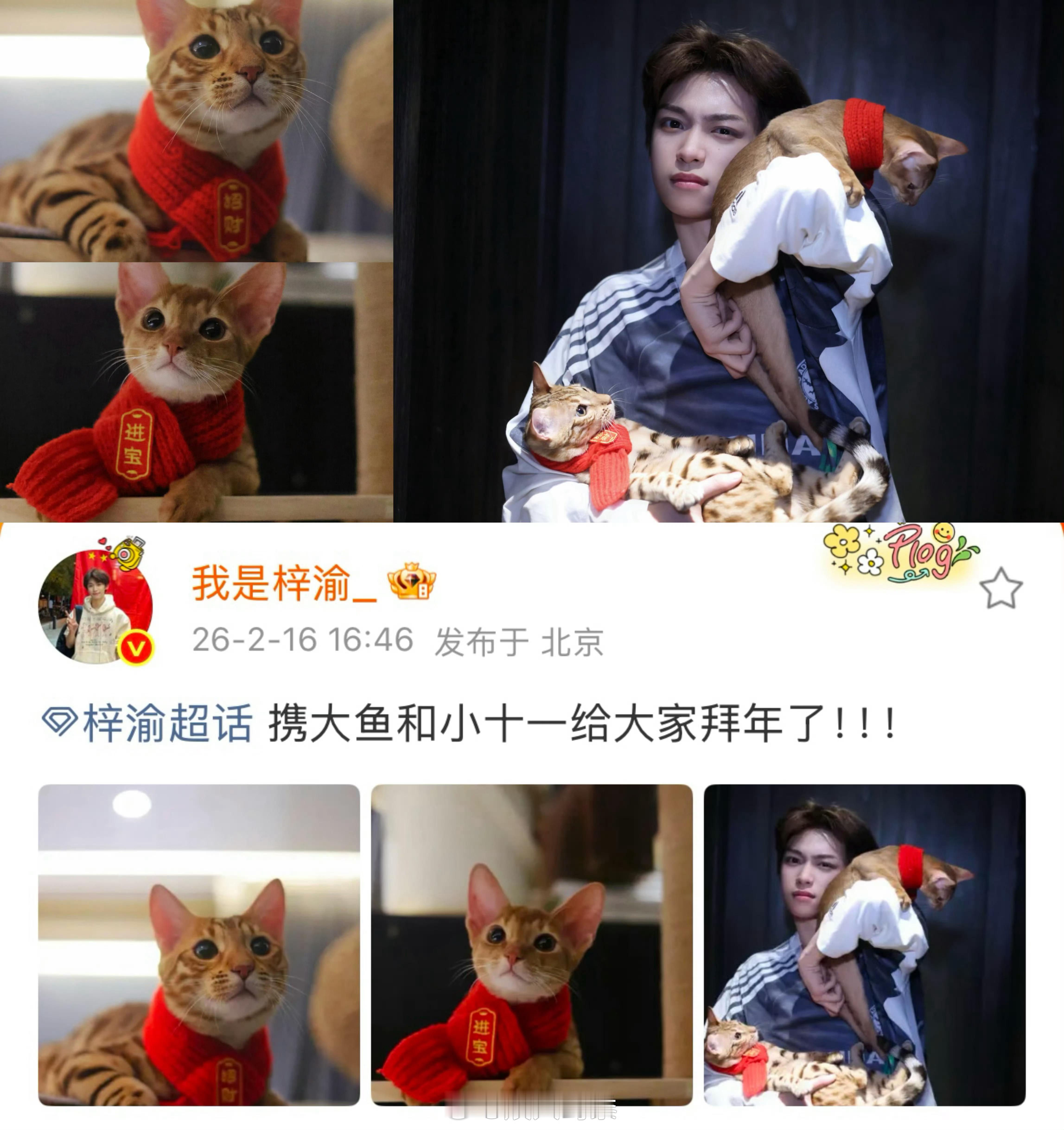 梓渝晒猫 梓渝经常晒猫，他好爱大鱼和小十一！话说喜欢小动物的人尤其是猫猫，都是特