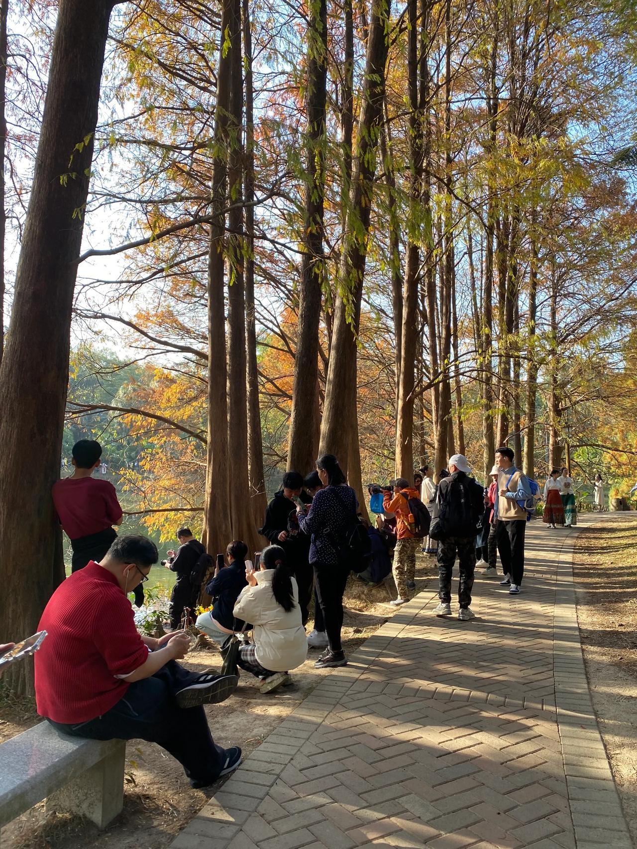 大家都挤在一起在拍什么？
落羽杉林中尽职尽责的踩在水中的模特
———1月7日下午