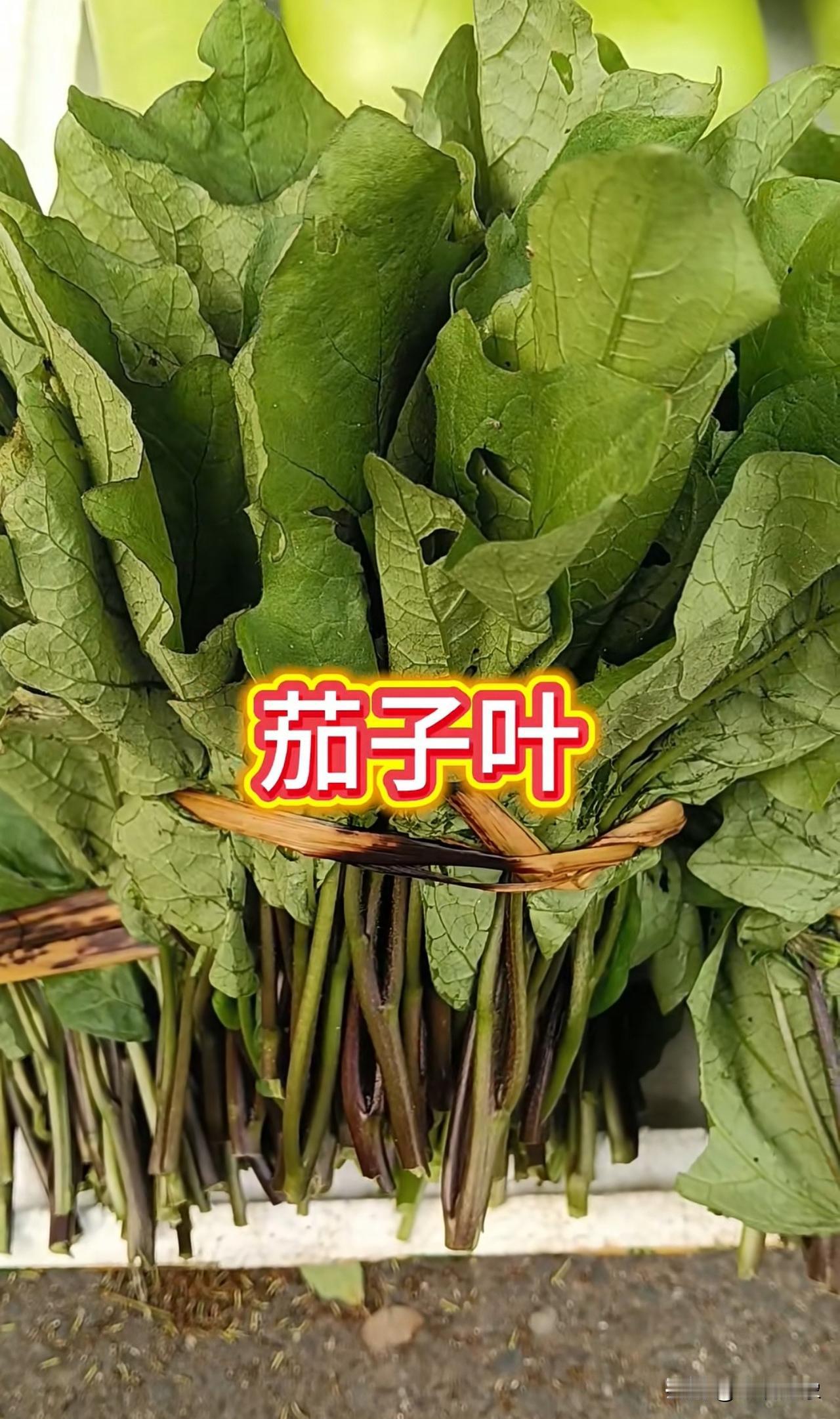 茄子叶也能吃你们知道吗？
韶关龙归镇