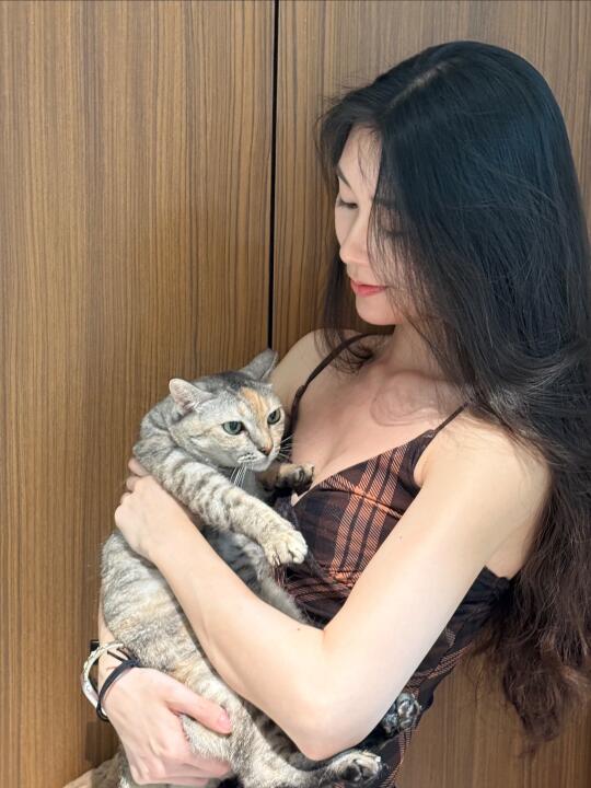 人，为什么放假不出门 在家惹猫生气