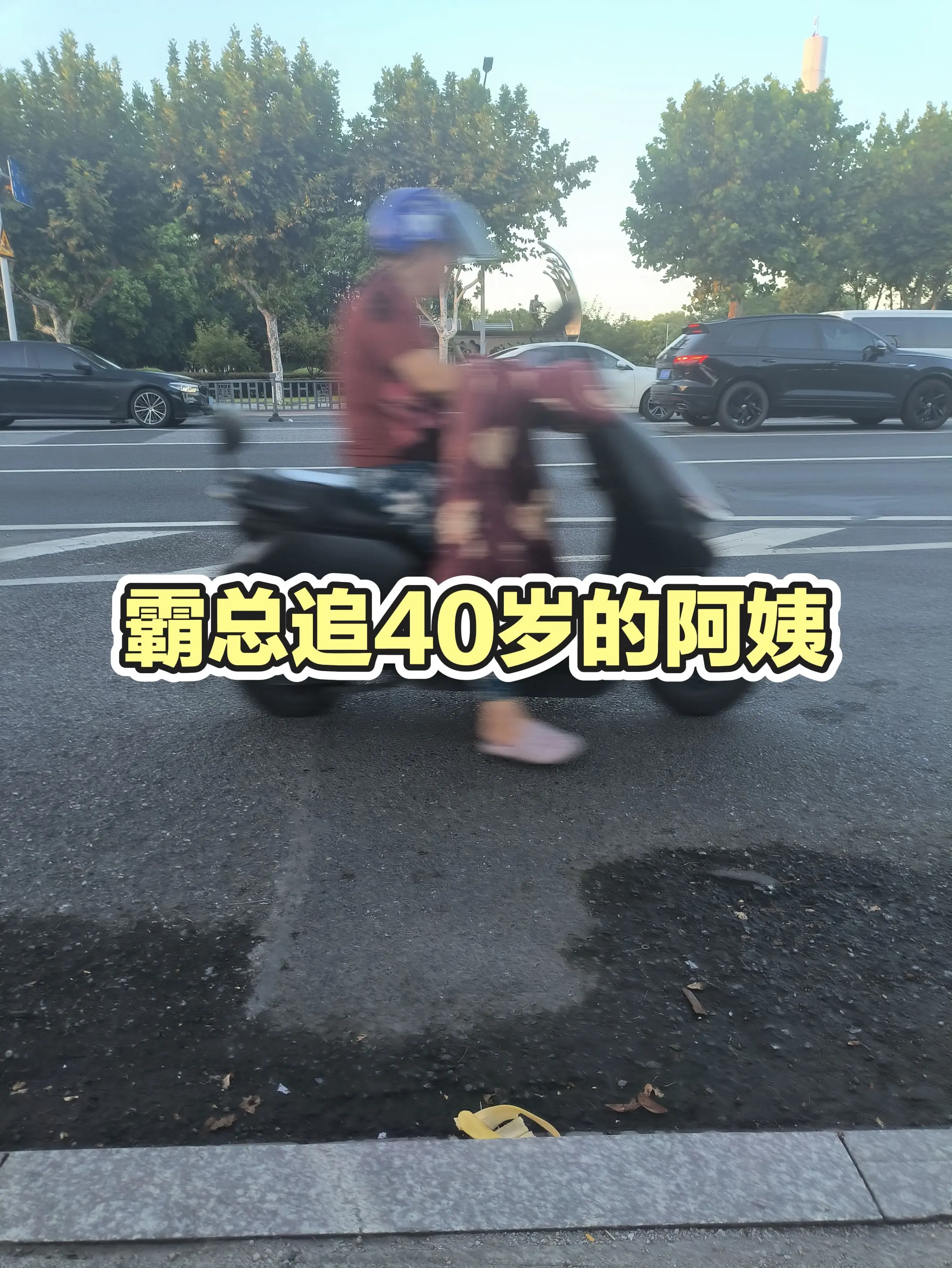 每日分享