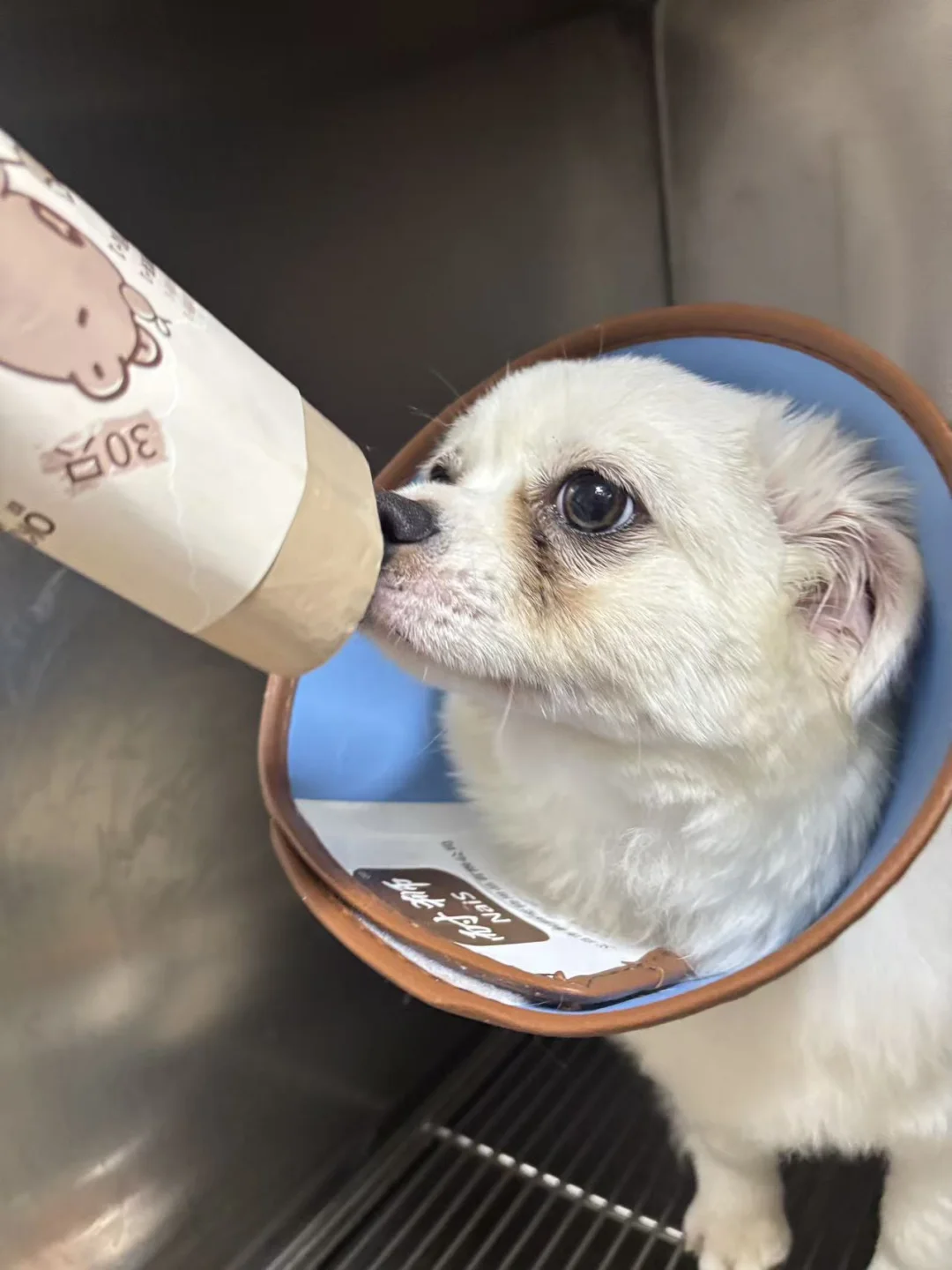 人最近需不需要垃圾袋吖？汪有哦！