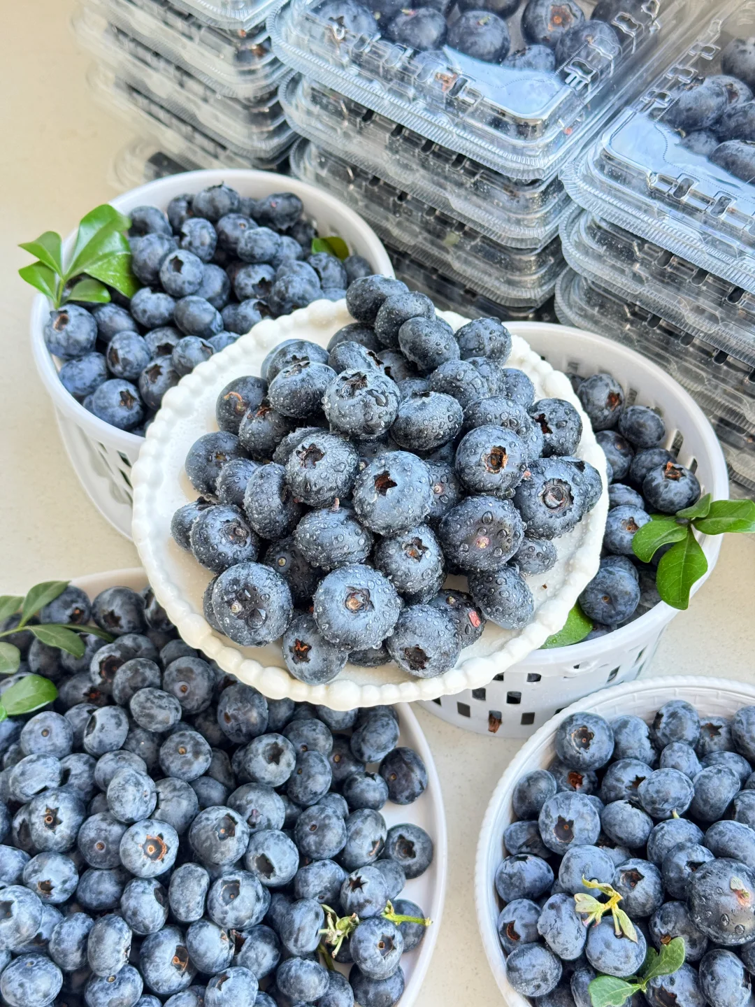 看着便宜，有可能你买到的不是花香蓝莓！