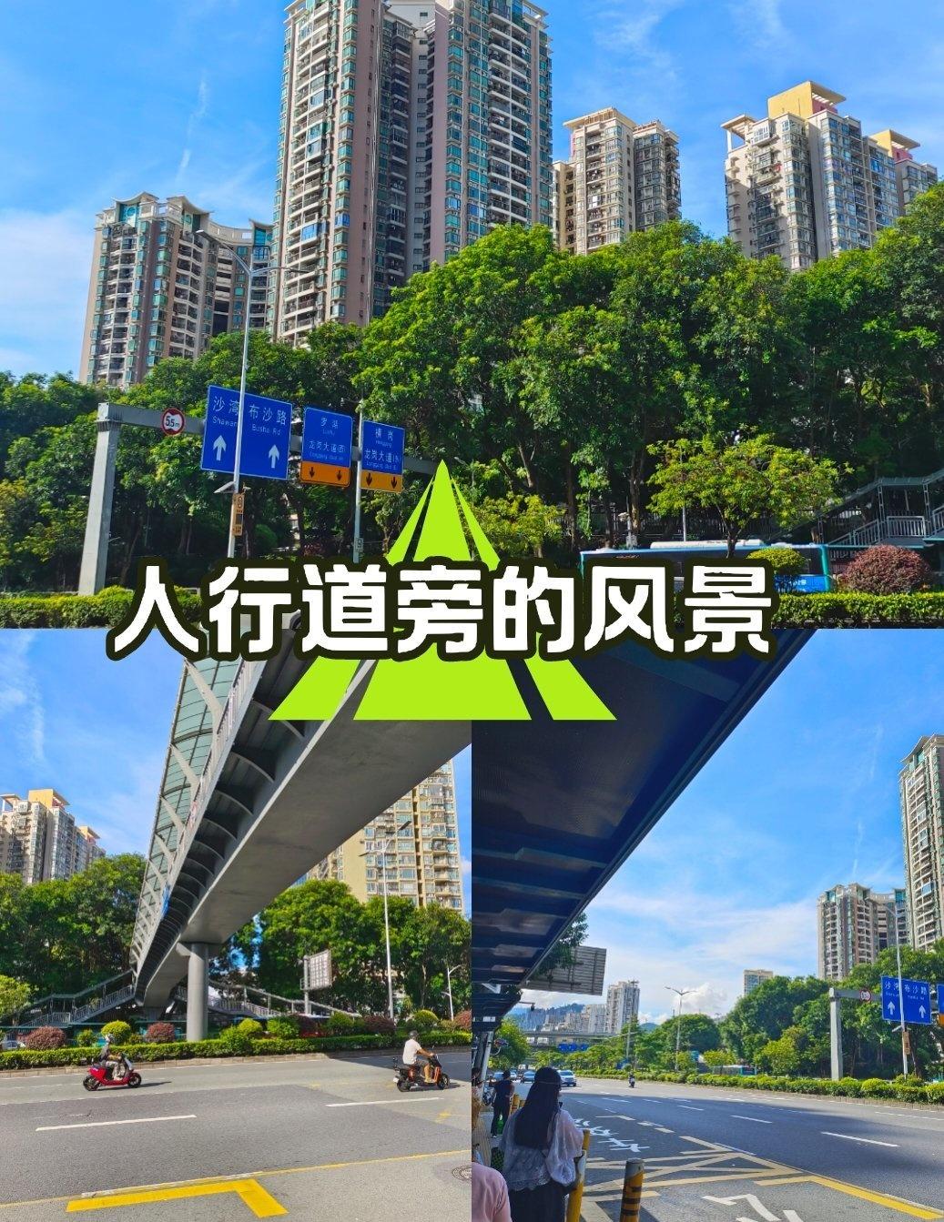 人行道旁的风景，是城市最鲜活的“边角料”。它没有名山大川的壮阔，却藏着最贴肤的生