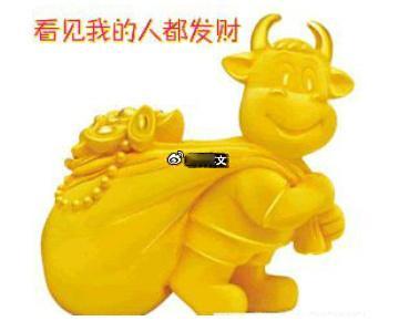 早上好老铁们！集合咯！新的一天，新的盘面，新的机会！来一波点赞走起！祝给文总点赞