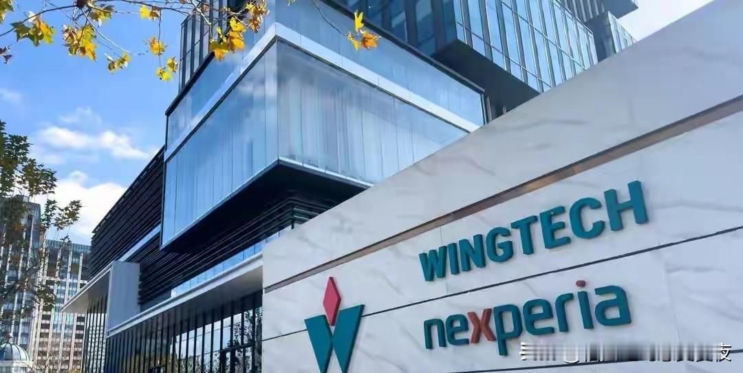 安世事件完了？荷兰法院1月14日开听证会，中方反制手段浮现